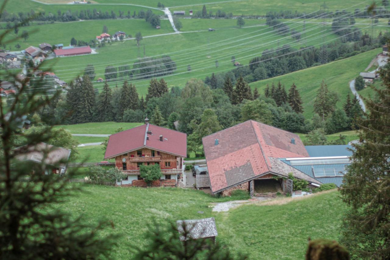 Unterholzhof Villa Piesendorf Luaran gambar