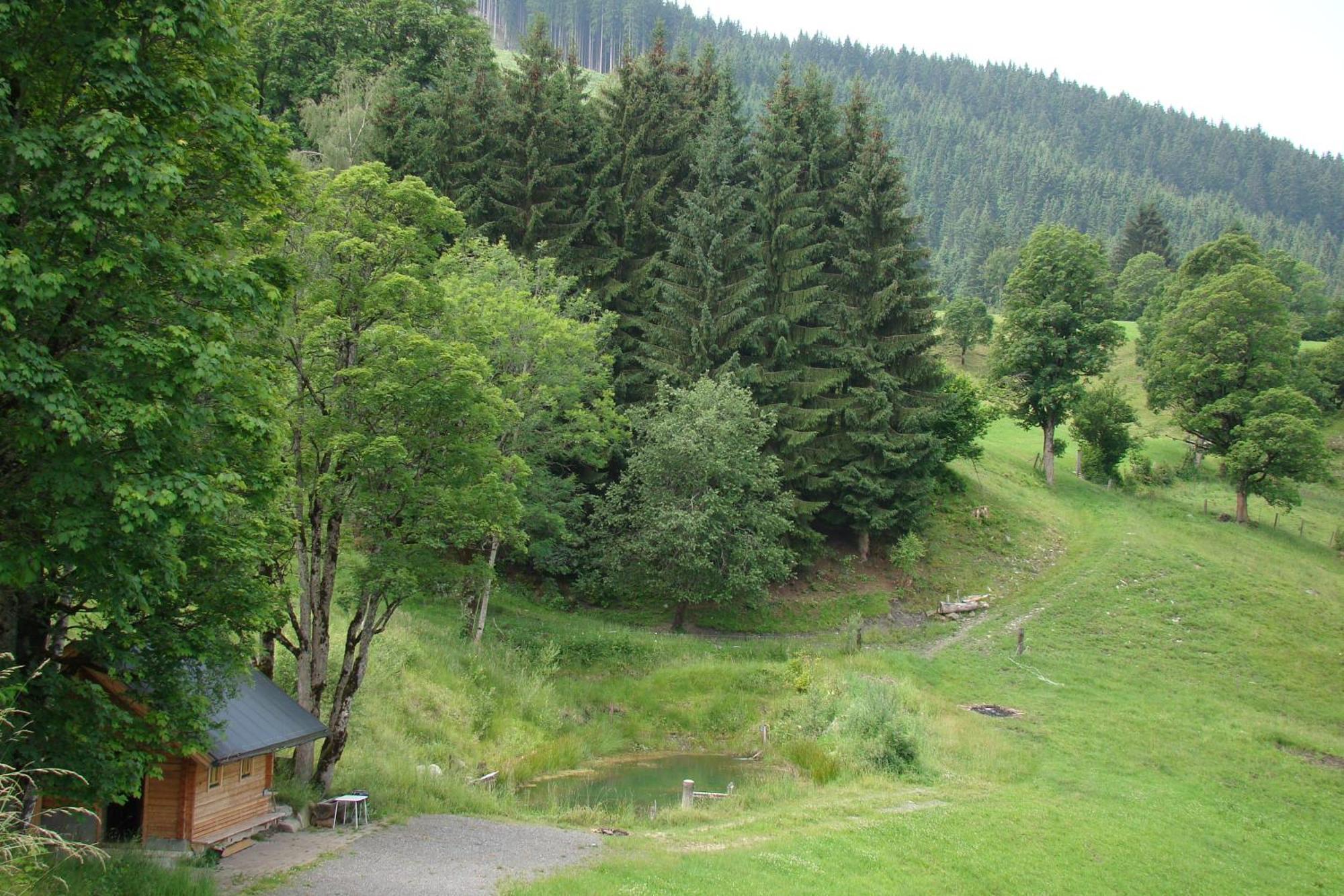 Unterholzhof Villa Piesendorf Luaran gambar